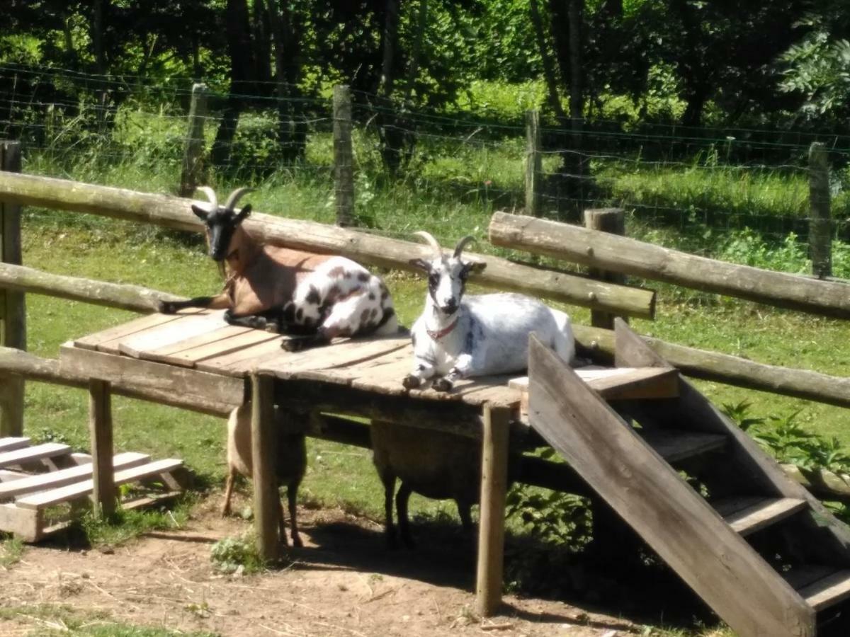 Le Paradis Des Animaux Coublevie Buitenkant foto