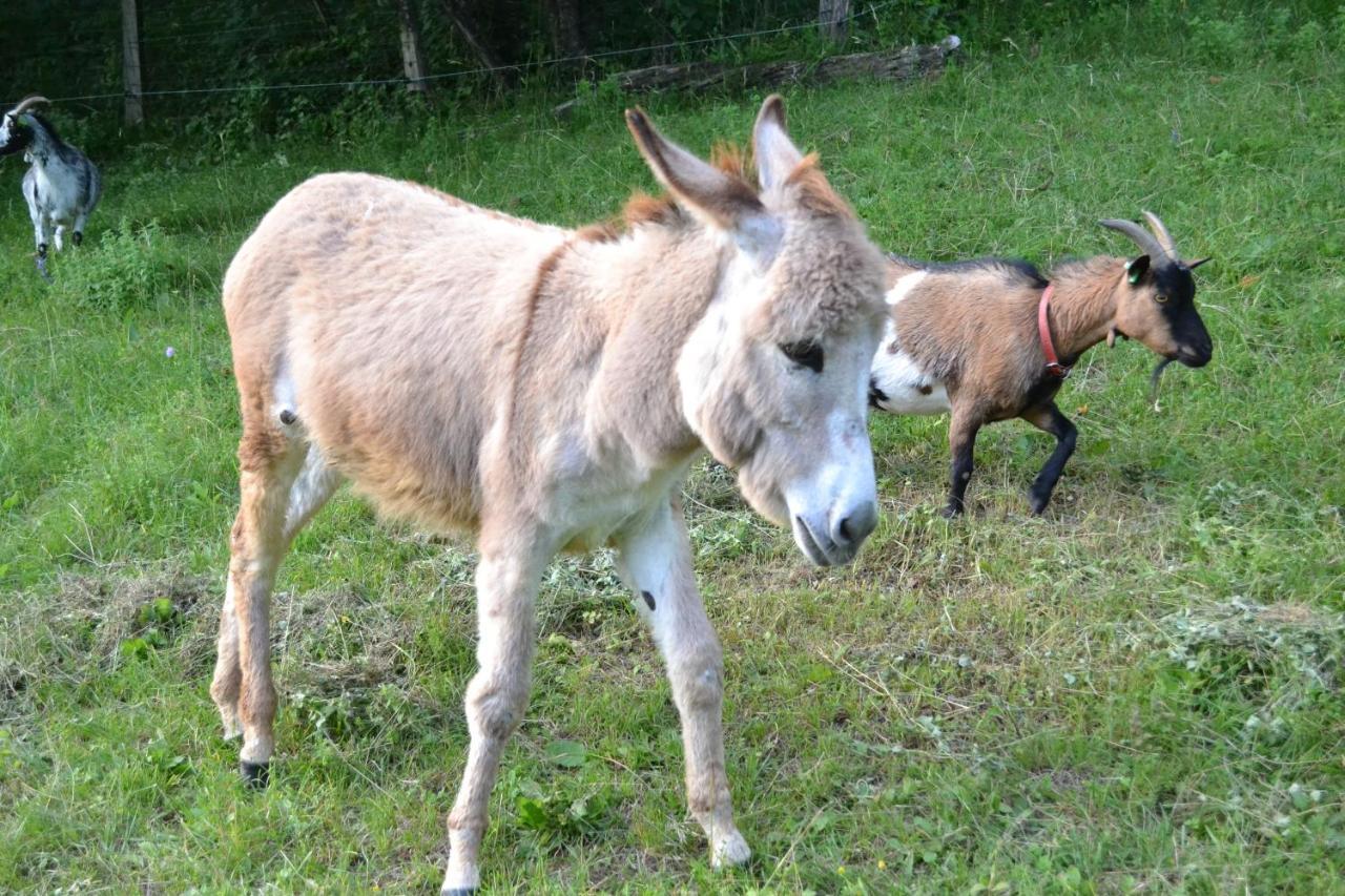 Le Paradis Des Animaux Coublevie Buitenkant foto